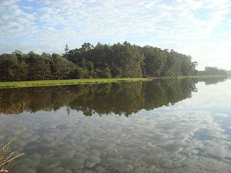 QUERNCIA DO NORTE-PR-RIO PARAN-FOTO:JACK WIRTH - QUERNCIA DO NORTE - PR