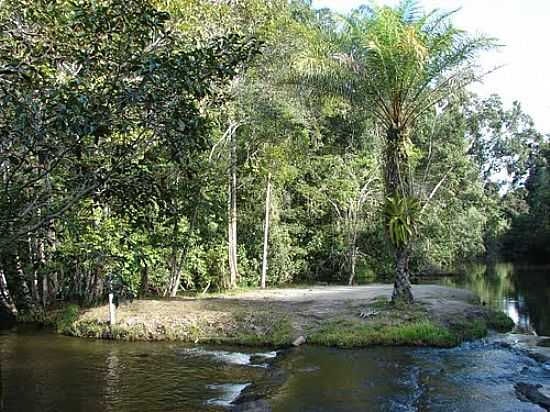 MATA ATLNTICA DA RESERVA ECOLGICA MICHELIM EM IGRAPINA-BA-FOTO:CAIO GRACO MACHADO - IGRAPINA - BA