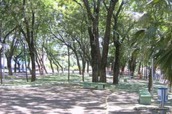 BOSQUE EM REALEZA-FOTO:[|AERO|]JELOY AL MA - REALEZA - PR