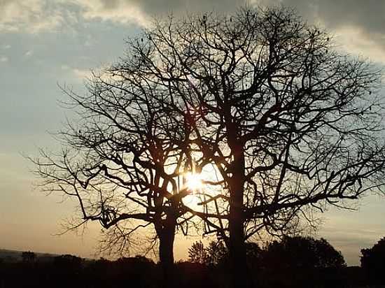 ENTARDECER EM RIBEIRO BONITO-FOTO:SOFIA KAWKA DO PRADO - RIBEIRO BONITO - PR