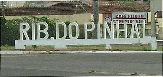 RIBEIRO DO PINHAL - PR - RIBEIRO DO PINHAL - PR