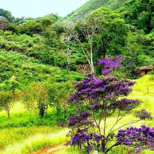 VALE DO MACRIO - IGUA - BA, POR NELO FERRARI - IGUA - BA