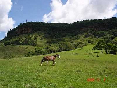 SERRA-FOTO:JOSIEL@SOUZZA.COM  - RIO BRANCO DO IVA - PR