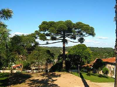 RIO CLARO DO SUL-FOTO:ALCIDES DIAS  - RIO CLARO DO SUL - PR