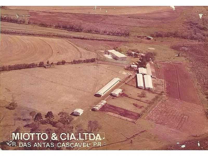 IMAGENS DO DISTRITO DE RIO DAS ANTAS, MUNICPIO DE CASCAVEL/PR - RIO DAS ANTAS - PR