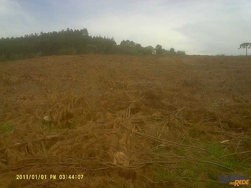 RIO DAS PEDRAS-PR-REA RURAL-FOTO:WWW.ROLONAREDE.COM.BR  - RIO DAS PEDRAS - PR