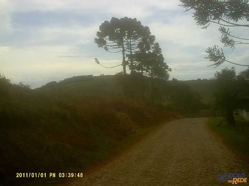 RIO DAS PEDRAS-PR-REA RURAL-FOTO:WWW.ROLONAREDE.COM.BR - RIO DAS PEDRAS - PR