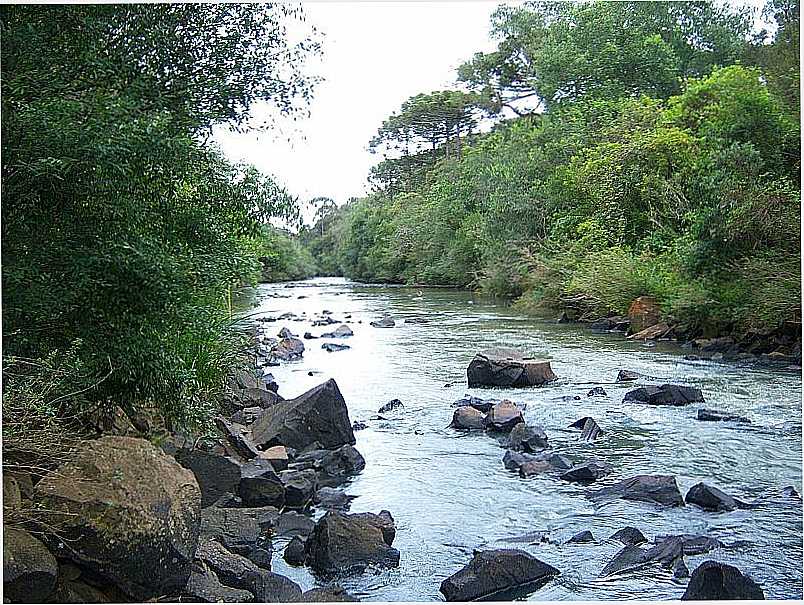 RIO DAS PEDRAS-PR-RIO DAS PEDRAS-FOTO:LOIVINHO FRANA - RIO DAS PEDRAS - PR