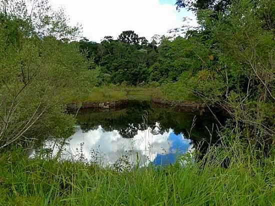 LAGO NO PARQUE SALTO DO PORTO NO DISTRITO DE RIO DO SALTO-FOTO:RICARDO MERCADANTE - RIO DO SALTO - PR