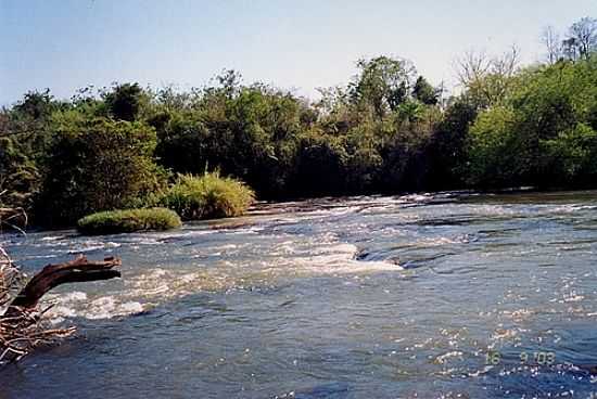 CORREDEIRA EM RIO VERDE-FOTO:BOM DIA!!... SO PAU - RIO VERDE - PR