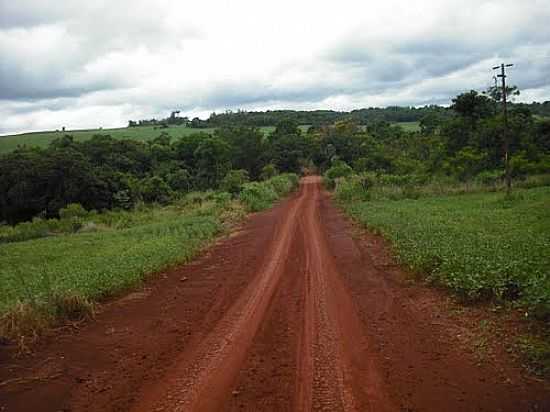 ESTRADA DE RIO VERDE-FOTO:JSCP - RIO VERDE - PR