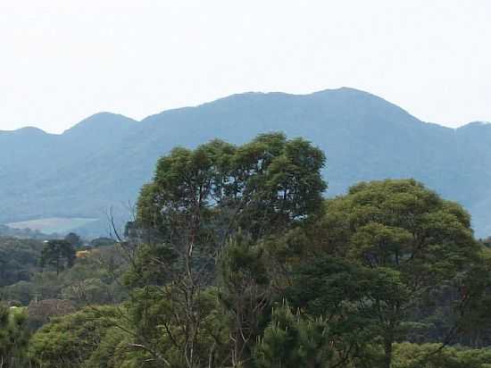 SERRA DO MAR EM ROA VELHA-FOTO:EDUARDO JOSE JANKOSZ - ROA VELHA - PR