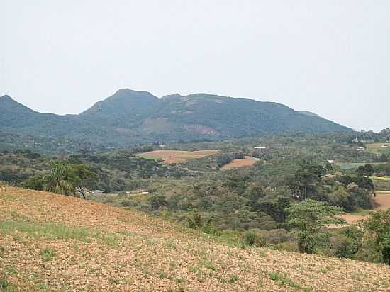 VISTA DA REGIO E AO FUNDO A SERRA DO MAR EM ROA VELHA-FOTO:EDUARDO JOSE JANKOSZ - ROA VELHA - PR