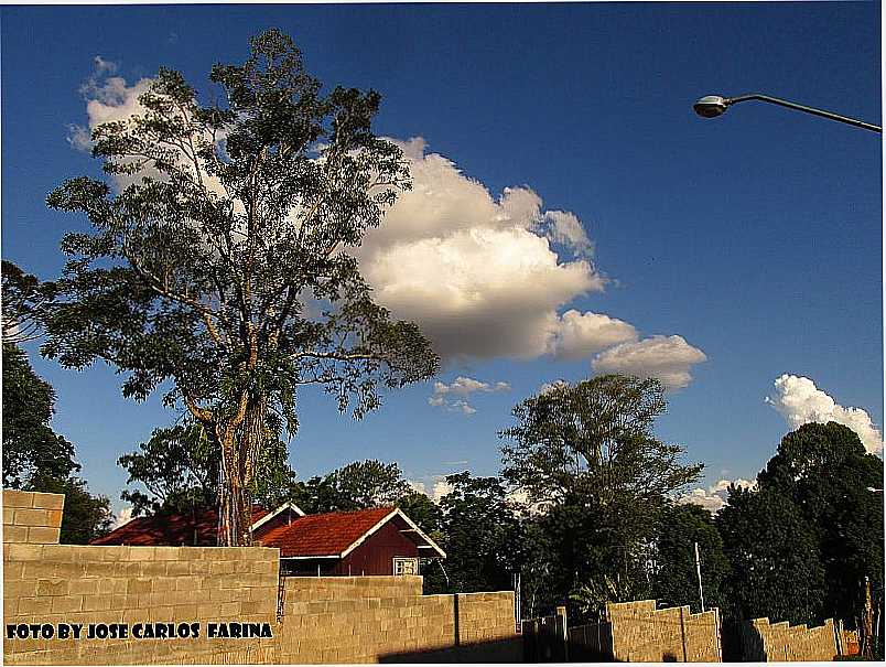 IMAGENS DA CIDADE DE ROLNDIA - PR FOTO BLOG DO FARINA - ROLNDIA - PR