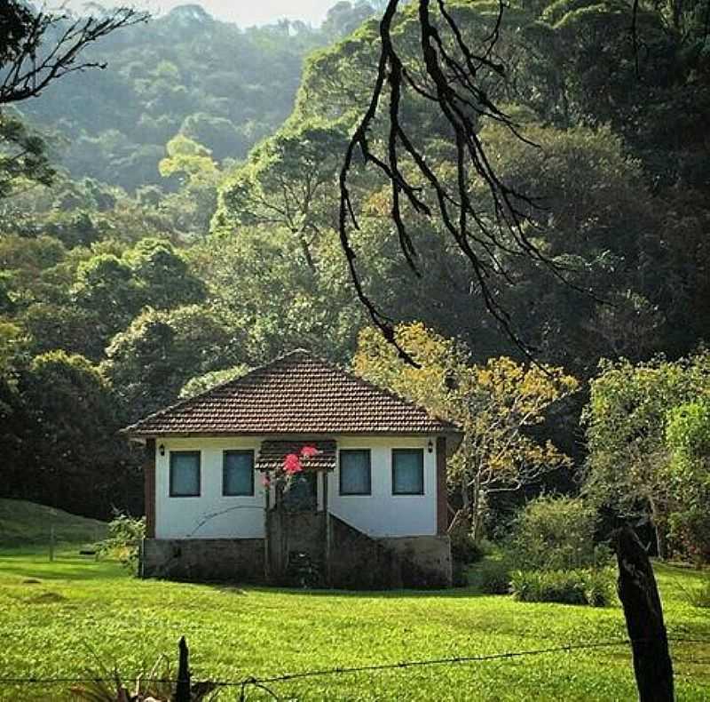 IMAGEM DA CIDADE DE ROSRIO DO IVA - PR - ROSRIO DO IVA - PR