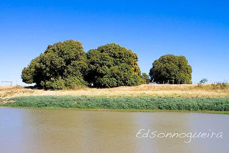 IGUIRA-BA-MANGUEIRAS NA BEIRA DO RIO-FOTO:EDSONNOGUEIRA - IGUIRA - BA