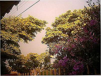 CHUVA COM SOL POR LEANDRO R FERRE - SABUDIA - PR