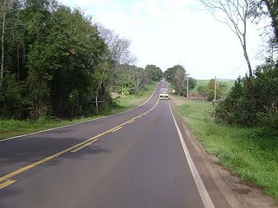 RODOVIA PR-281 EM SALTO DO LONTRA-PR-FOTO:ARTEMIO C.KARPINSKI - SALTO DO LONTRA - PR