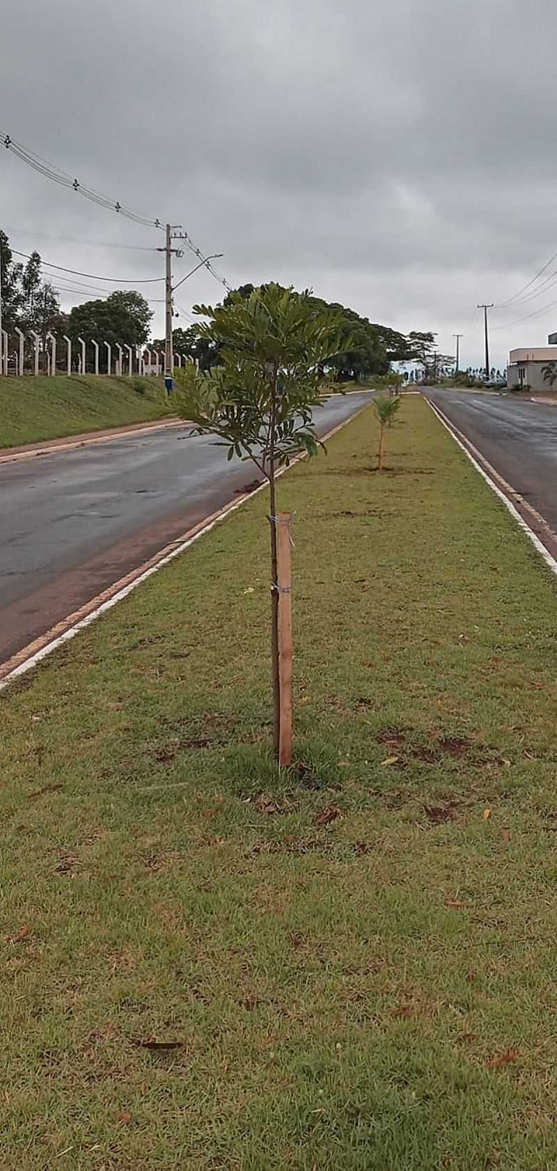 IMAGENS DA CIDADE DE SANTA ISABEL DO IVA - PR - SANTA ISABEL DO IVA - PR