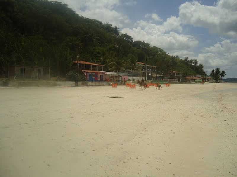 ILHA DA MAR-BA-JEGUETUR NA PRAIA-FOTO:BRISA MARIA - ILHA DE MAR - BA