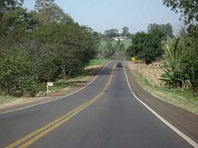 RODOVIA-FOTO:ARTEMIO C.KARPINSKI  - SANTA LCIA - PR