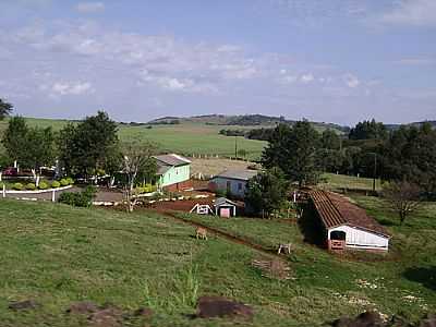 FAZENDA-FOTO:ARTEMIO C.KARPINSKI  - SANTA LCIA - PR