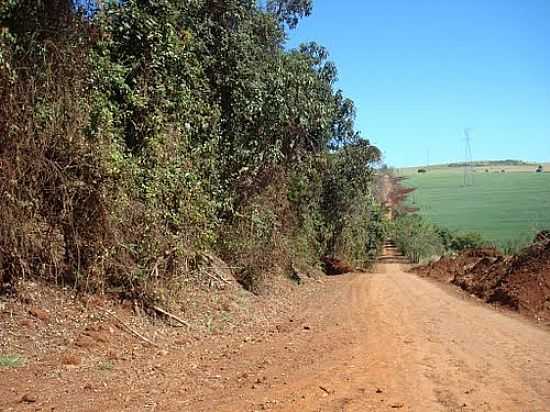 ESTRADA DE SANTA MARIA-FOTO:PROG. ECOMETRPOLE - SANTA MARIA - PR