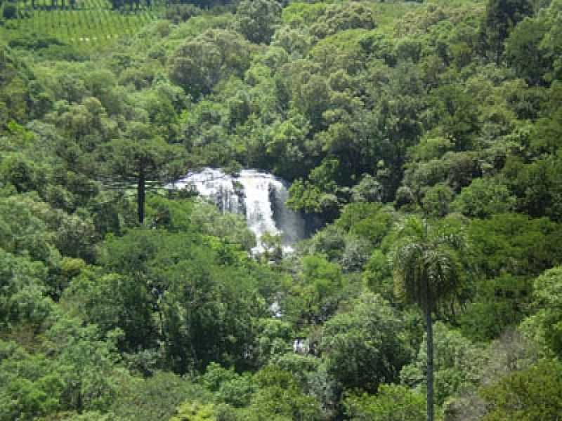 CACHOEIRA BARO SANTO ANTONIO - SANTA MARIA DO OESTE - PR