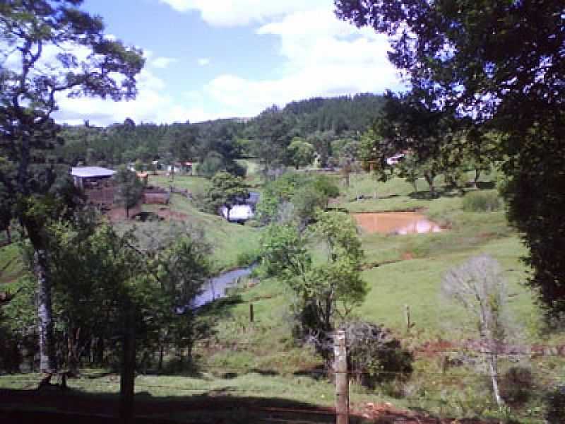 FAZENDA ARAGUA - PROPRIETRIO: VALDECIR LIMA - SANTA MARIA DO OESTE - PR