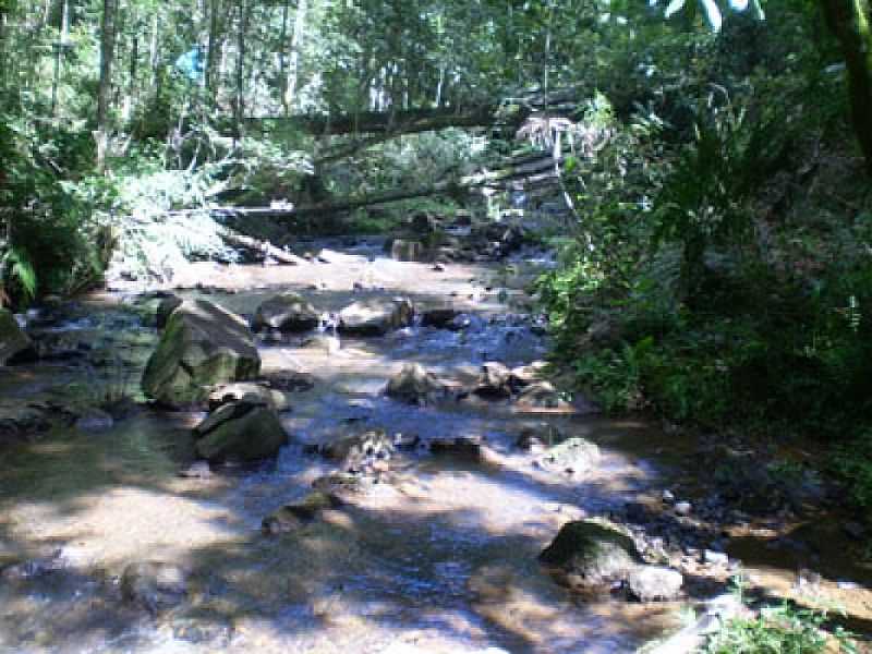 RIOS LINHA LONTRENSE - SANTA MARIA DO OESTE - PR