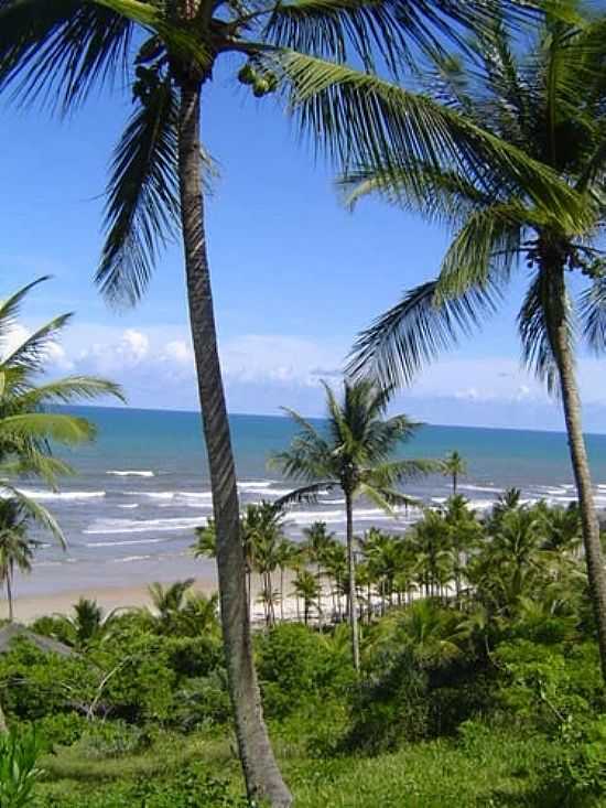 VISTA DA PRAIA ENTRE COQUEIROS EM ILHUS-BA-FOTO:BEATRIZ BARRETO TANE - ILHUS - BA