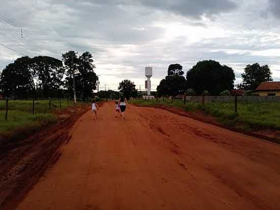 ESTRADA DE SANTA MNICA-FOTO:CARLOS E. SCHARDIJN - SANTA MNICA - PR