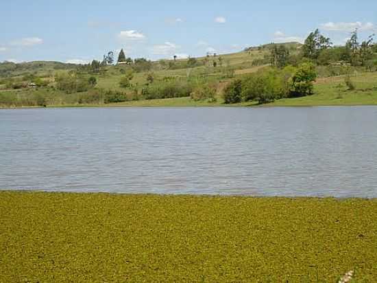 REPRESA DO ASSENTAMENTO SANTA RITA-FOTO:ADAIL JOAO DOS SANTO. - SANTA RITA - PR