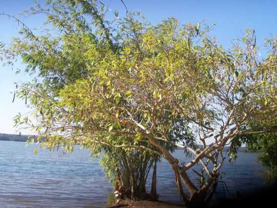 POR NILTON MOREIRA DOS PASSOS - SANTO ANTNIO DO CAIU - PR