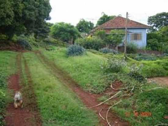 CASA NA FAZENDA JOSANA EM SANTO ANTNIO DO PALMITAL-FOTO:PELLEGRINI32 - SANTO ANTNIO DO PALMITAL - PR