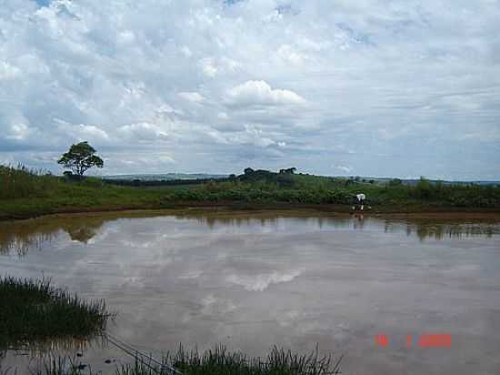 REPRESA DE CAR NA FAZENDA JOSANA EM SANTO ANTNIO DO PALMITAL-FOTO:PELLEGRINI32 - SANTO ANTNIO DO PALMITAL - PR