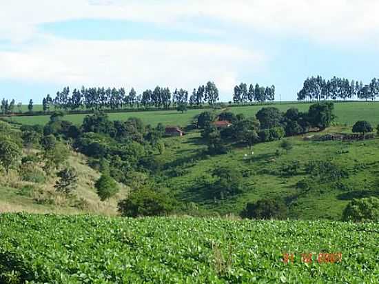 VISTA  DA FAZENDA JOSANA EM SANTO ANTNIO DO PALMITAL-FOTO:PELLEGRINI32 - SANTO ANTNIO DO PALMITAL - PR