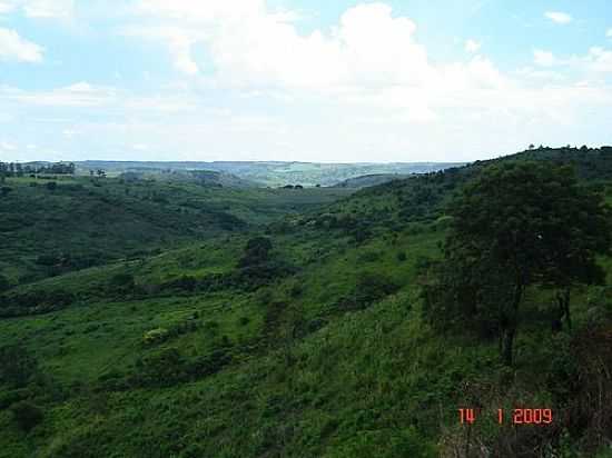 VISTA  DA REGIO DE SANTO ANTNIO DO PALMITAL-FOTO:PELLEGRINI32 - SANTO ANTNIO DO PALMITAL - PR