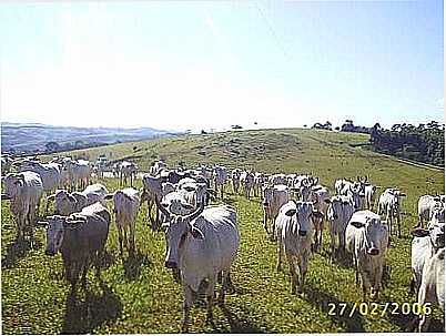 SO JERNIMO DA SERRA POR AGNALDON - SO JERNIMO DA SERRA - PR