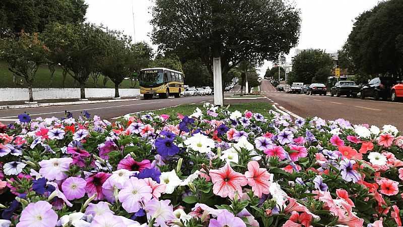 IMAGENS DA CIDADE DE SO JORGE DO OESTE - PR - SO JORGE DO OESTE - PR