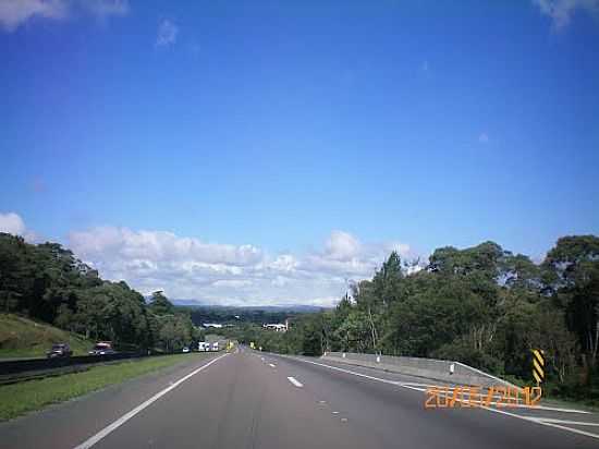 DESCENDO A SERRA DE SO JOS DOS PINHAIS-FOTO:ELTONSTRADA - SO JOS DOS PINHAIS - PR