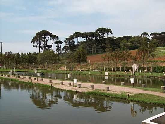 PESQUE E PAGUE DO CACHIMBO NO RIO PEQUENO EM SO JOS DOS PINHAIS-FOTO:EDUARDO JOSE JANKOSZ - SO JOS DOS PINHAIS - PR