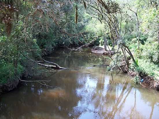 RIO PEQUENO EM SO JOS DOS PINHAIS-FOTO:EDUARDO JOSE JANKOSZ - SO JOS DOS PINHAIS - PR