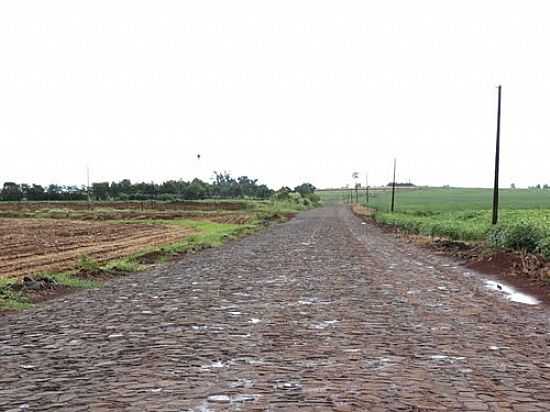 ESTRADA RURAL DE SO JUDAS TADEU-PR-FOTO:RICARDO MERCADANTE - SO JUDAS TADEU - PR