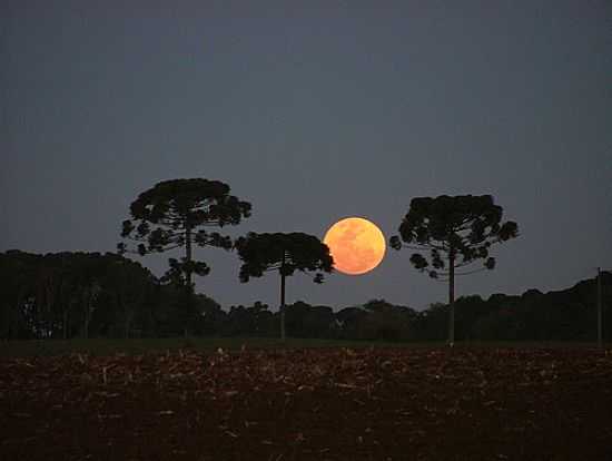 ENTARDECER EM SO LUIZ DO PURUN-PR-FOTO:GIBATRIKE - SO LUIZ DO PURUN - PR