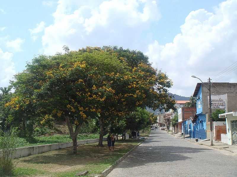 IPIA-BA-SIBIPIRUNAS EM FLOR NA AVENIDA-FOTO:MARCELO S F - IPIA - BA