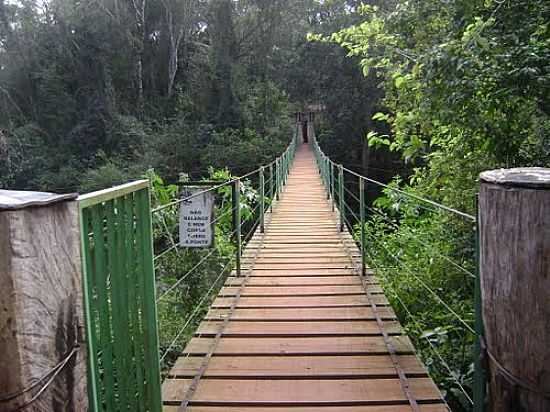 PONTE PNSIL NA RESERVA FLORESTAL CABEA DE CACHORRO EM SO PEDRO DO IGUAU-PR-FOTO:ARTEMIO C.KARPINSKI - SO PEDRO DO IGUAU - PR