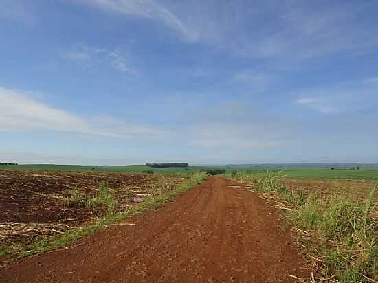 SO PEDRO DO IVA-PR-ESTRADA RURAL-FOTO:CHICO BIAZIO - SO PEDRO DO IVA - PR