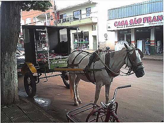 SO PEDRO DO IVA-PR-UM DOS TRANSPORTES USADOS NA CIDADE-FOTO:CLEUCIA_MARCOS - SO PEDRO DO IVA - PR