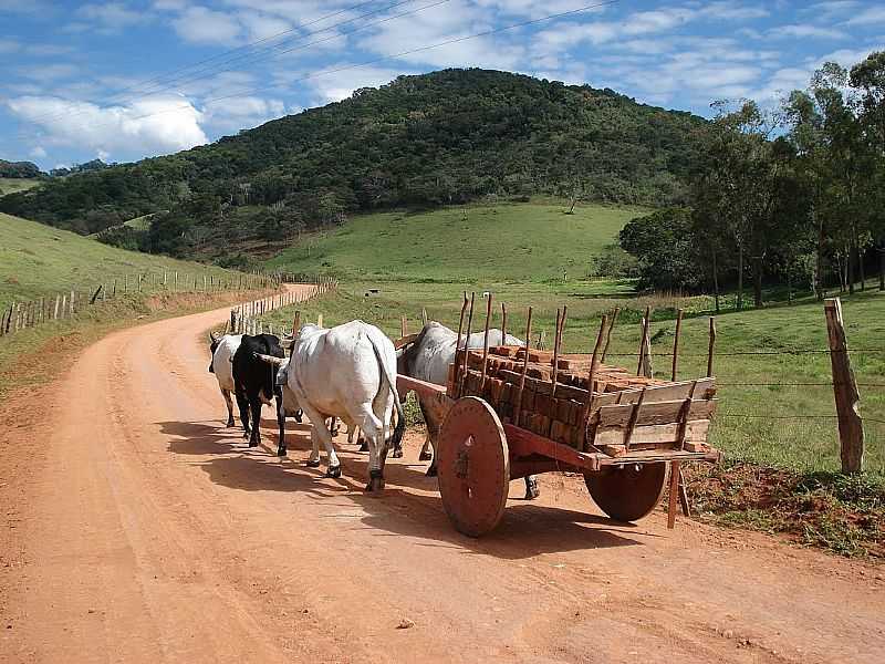 IMAGENS DA COMUNIDADE SO SALVADOR, MUNICPIO DE CASCAVL/PR - SO SALVADOR - PR